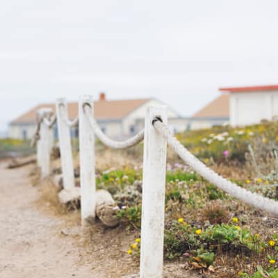 Oiseau noir Un oiseau noir en littérature