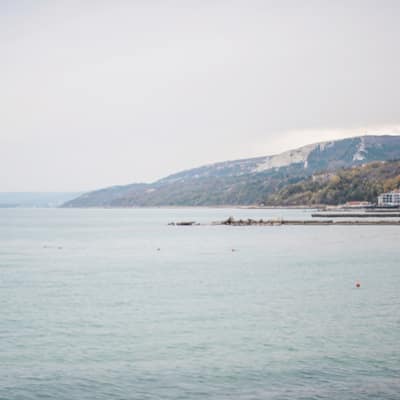 Oiseau noir Un oiseau noir en littérature