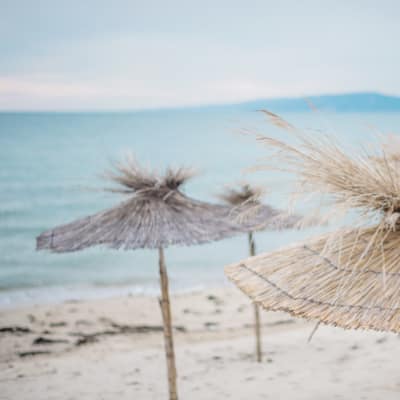 Oiseau noir Un oiseau noir en littérature