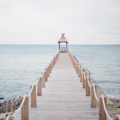 Oiseau noir Un oiseau noir en littérature