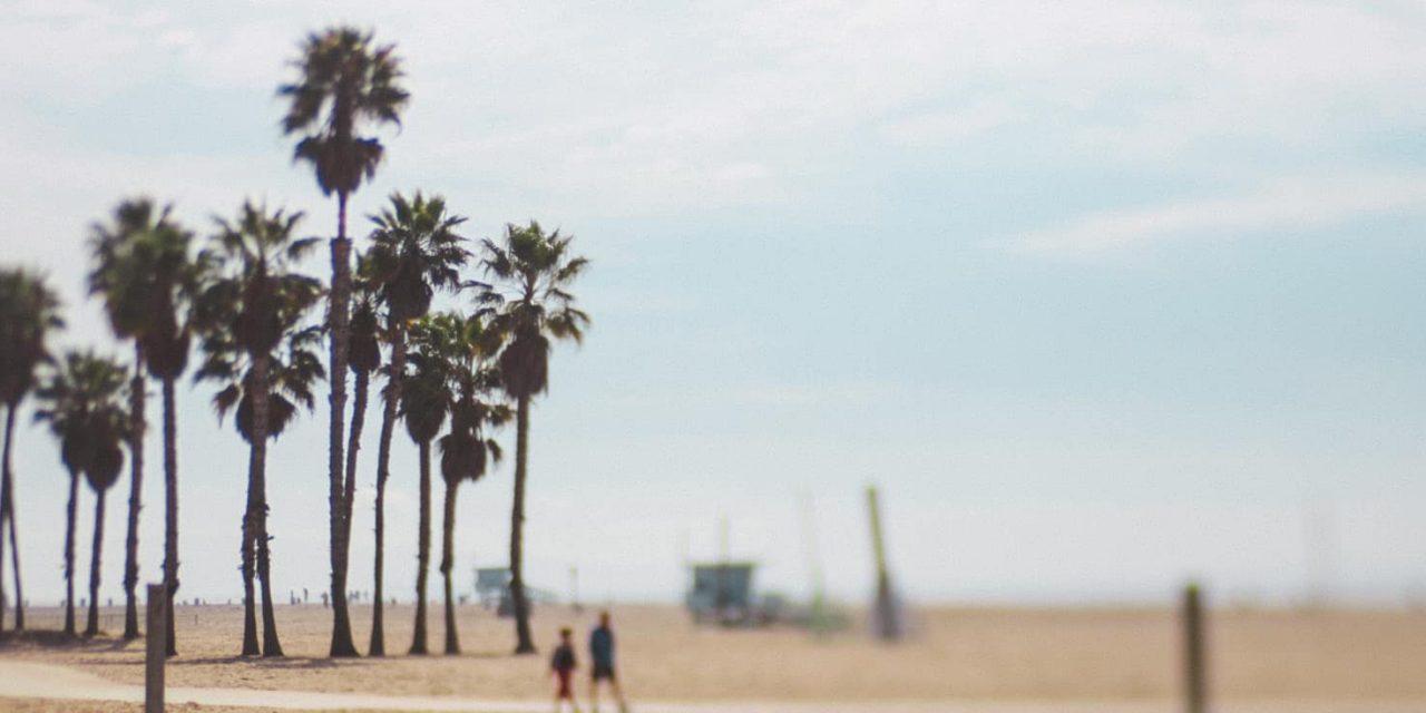 Camus ou l’été retrouvé