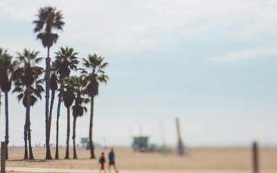 Camus ou l’été retrouvé