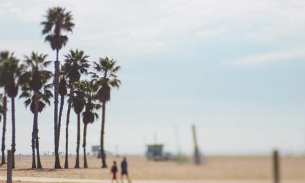 Camus ou l’été retrouvé