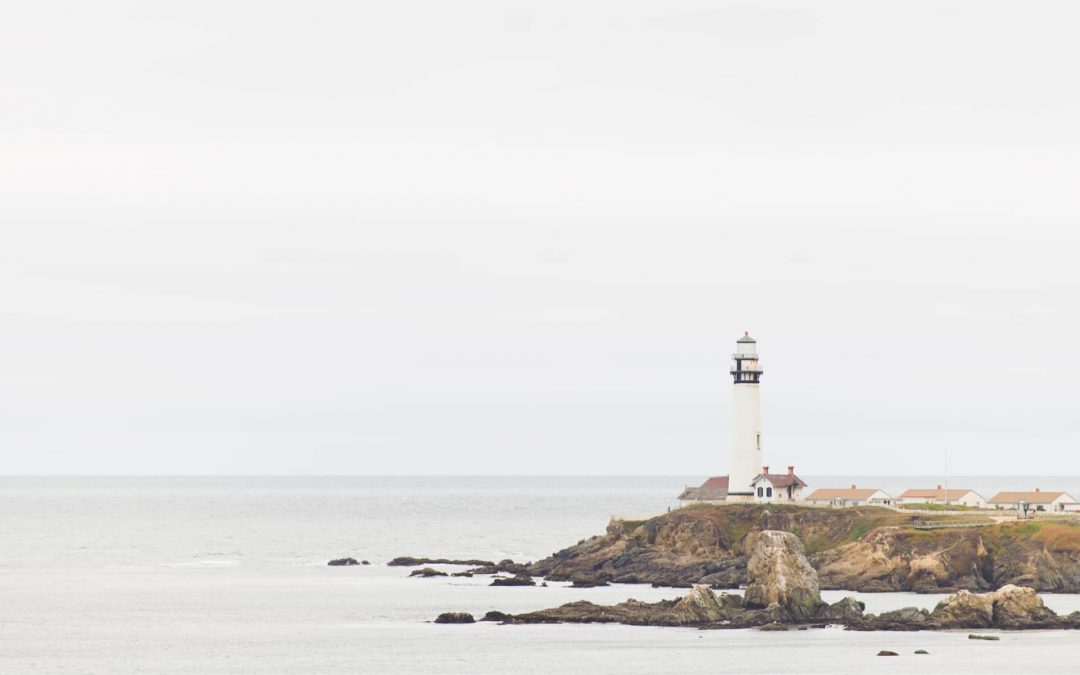 Exercices d’admiration ( suite )