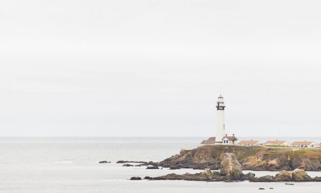 Exercices d’admiration ( suite )