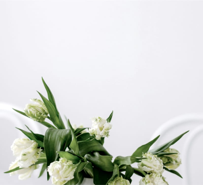 Un oiseau noir en littérature