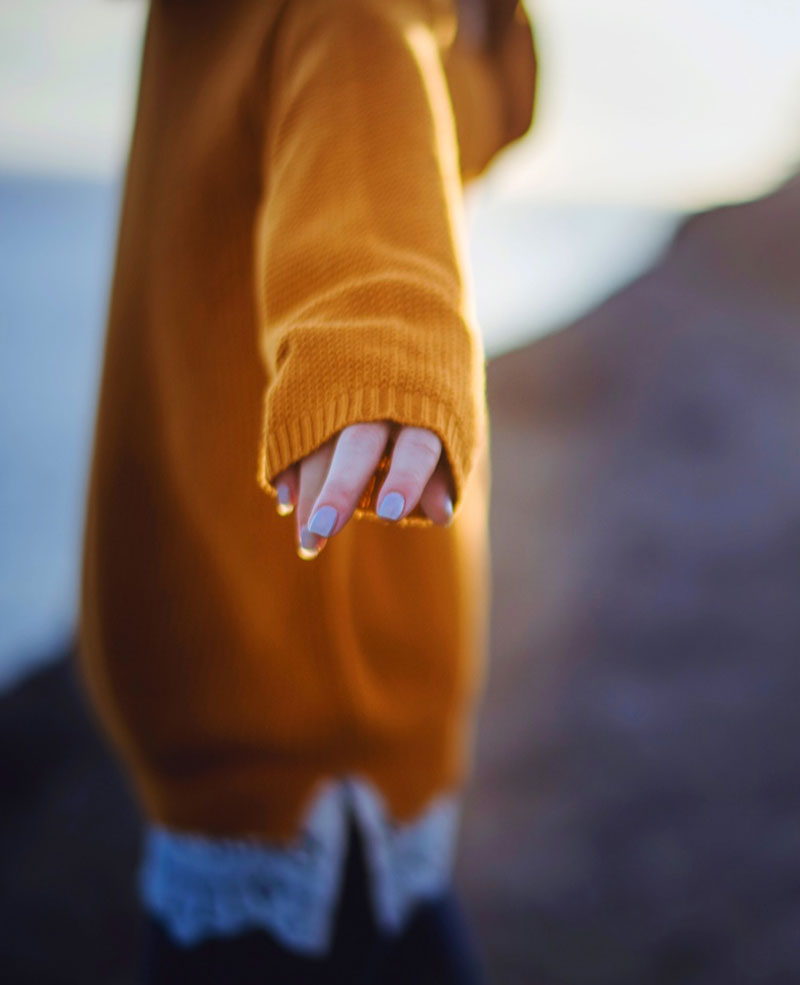 Un oiseau noir en littérature