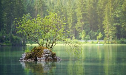 Eloge du temps comme il va