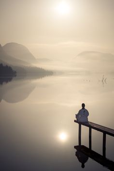 Un oiseau noir en littérature