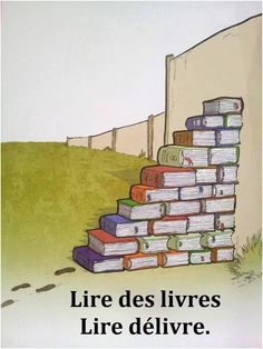 Un oiseau noir en littérature