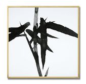 La sérenité du sage