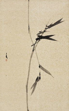 Un oiseau noir en littérature