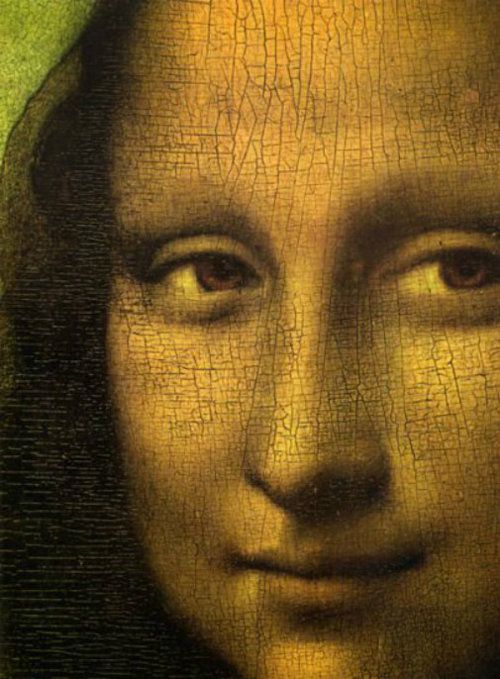 Un oiseau noir en littérature