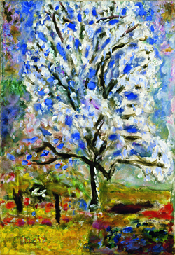 Un oiseau noir en littérature