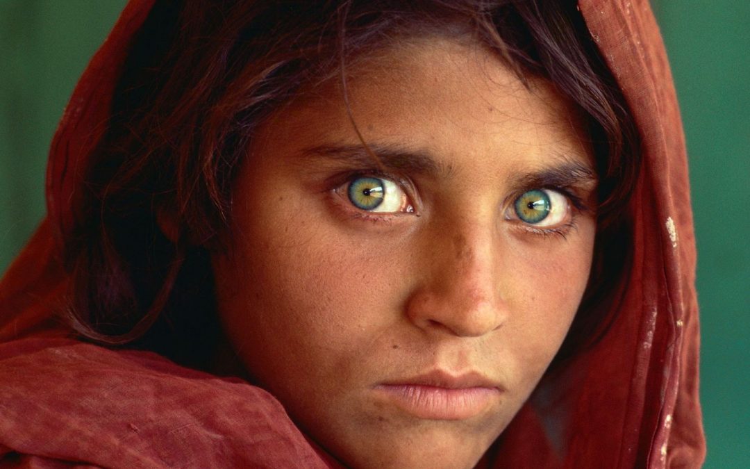 « L’afghane aux yeux verts »  – le monde vu par Steeve Mac-curry, photographe  américain contemporain.