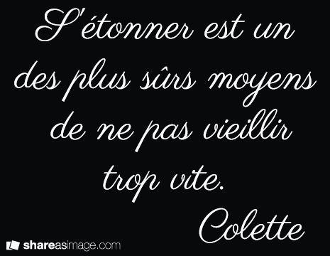 Un oiseau noir en littérature