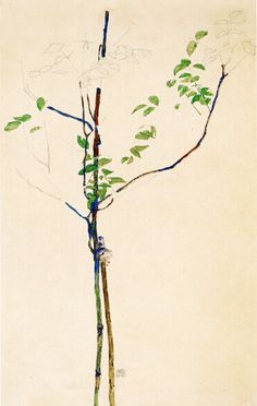 Un oiseau noir en littérature