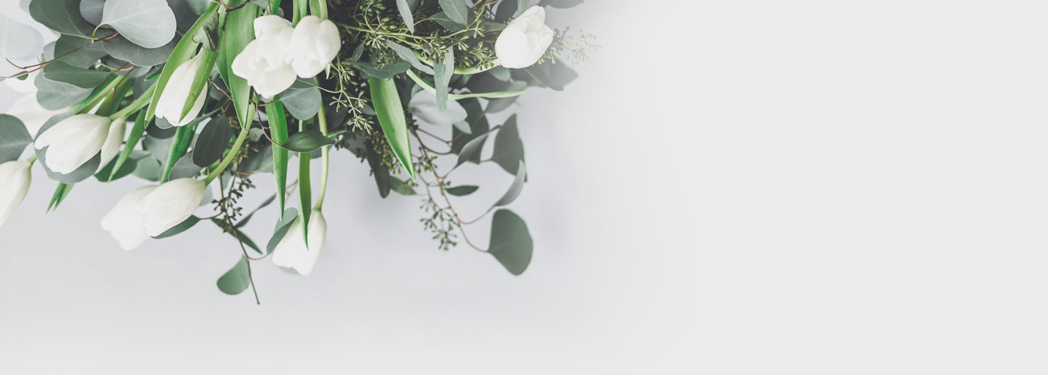 Un oiseau noir en littérature