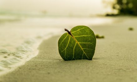 Journal – déconfinement- jour J