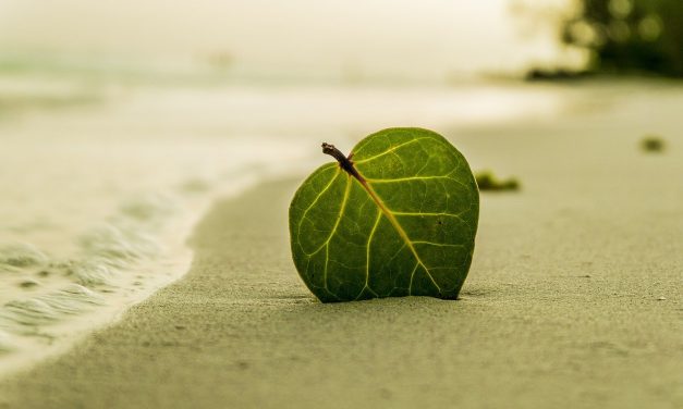 Journal – déconfinement- jour J