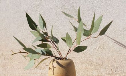 Qu’est-ce-que lire peut bien dire du désir ?