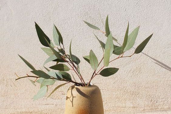 Qu’est-ce-que lire peut bien dire du désir ?