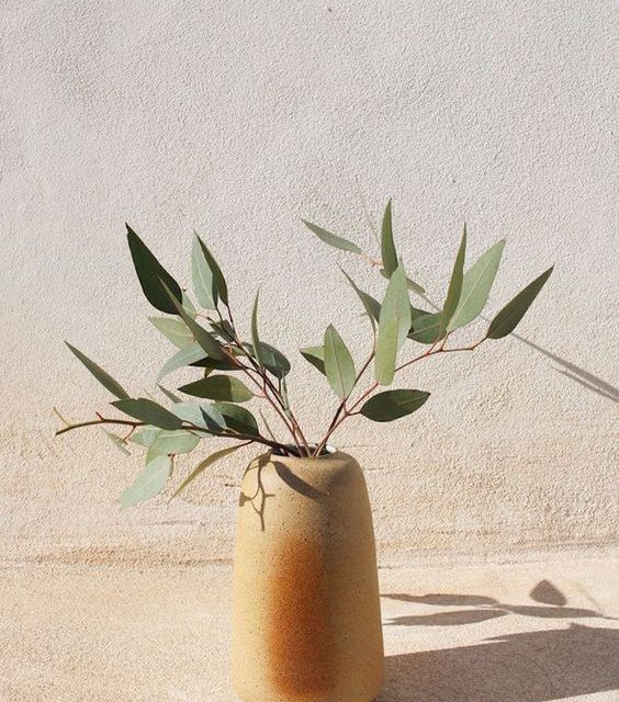 Qu’est-ce-que lire peut bien dire du désir ?