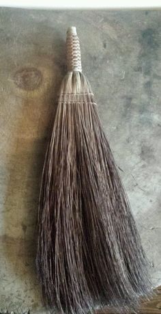 Un oiseau noir en littérature