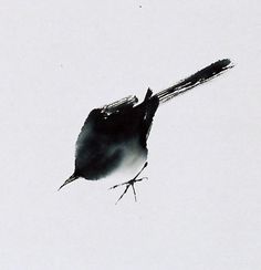 Un oiseau noir en littérature