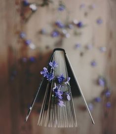 Un oiseau noir en littérature