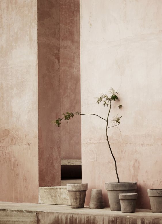 Un oiseau noir en littérature