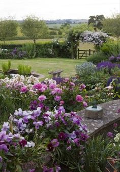 Un oiseau noir en littérature