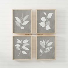 Un oiseau noir en littérature