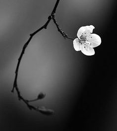 Victor Hugo- Proses philosophiques 1860-1865- De la nécessité d’admirer