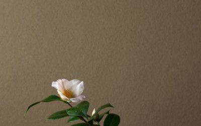 L’instant figé dans la forme poétique du Haïku.