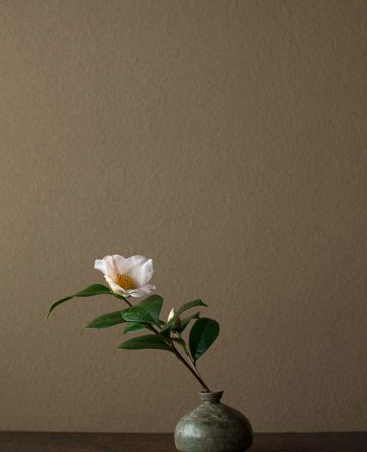 L’instant figé dans la forme poétique du Haïku.