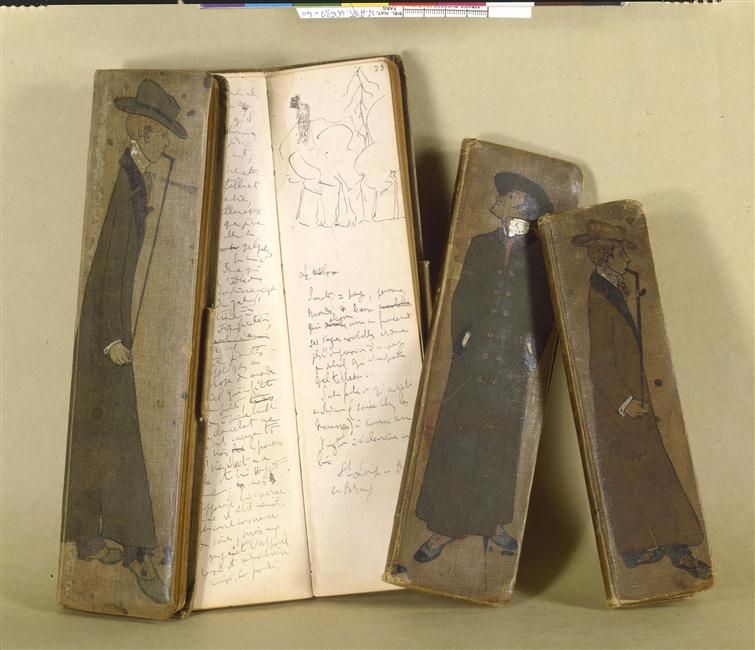 Un oiseau noir en littérature