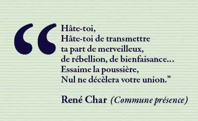 Un oiseau noir en littérature