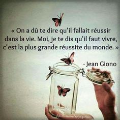 Un oiseau noir en littérature