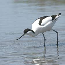 Exercices d’admiration- Poèmes