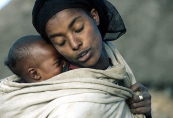 Un oiseau noir en littérature