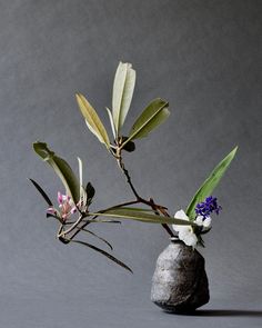 Neige de Maxence FERMINE- un conte initiatique qui questionne et enchante.