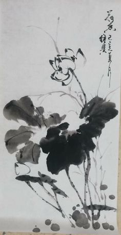 Un oiseau noir en littérature