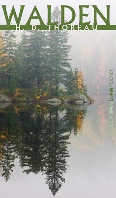 45643c7154bd1c64a5b1d2feea4c4562 Un oiseau noir en littérature