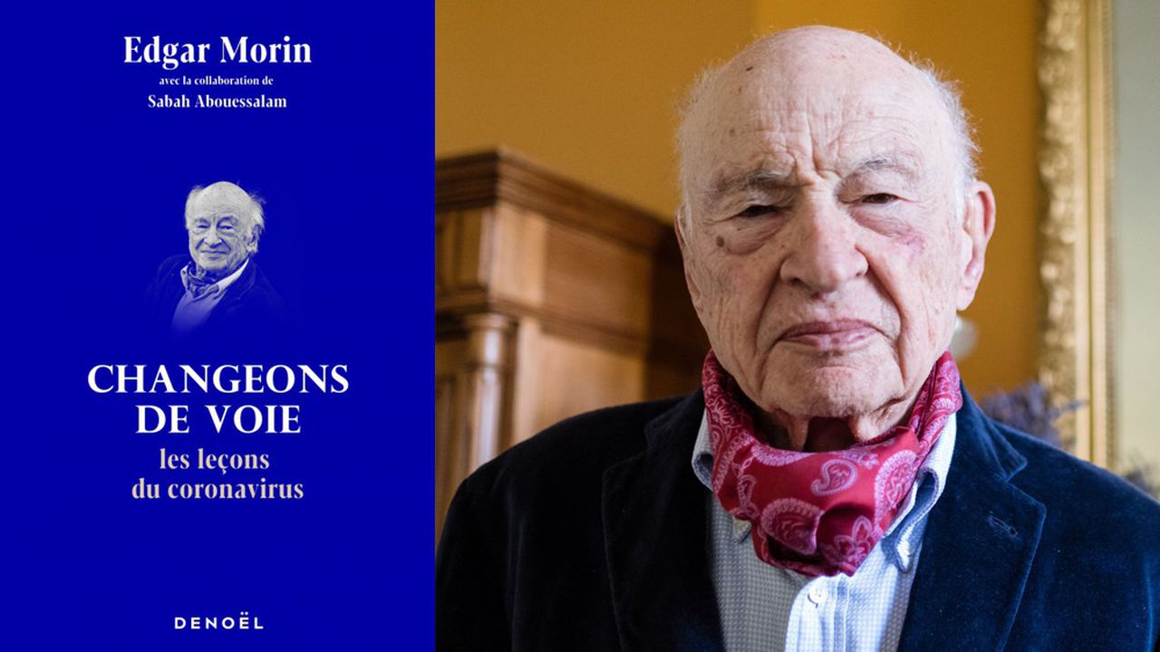 Un oiseau noir en littérature