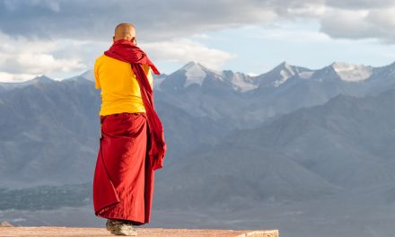 Yoga par Emmanuel Carrère