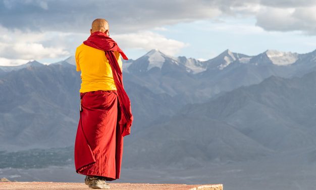 Yoga par Emmanuel Carrère